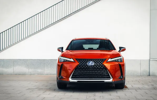 Lexus, front view, crossover, Lexus UX, 2019, 250h