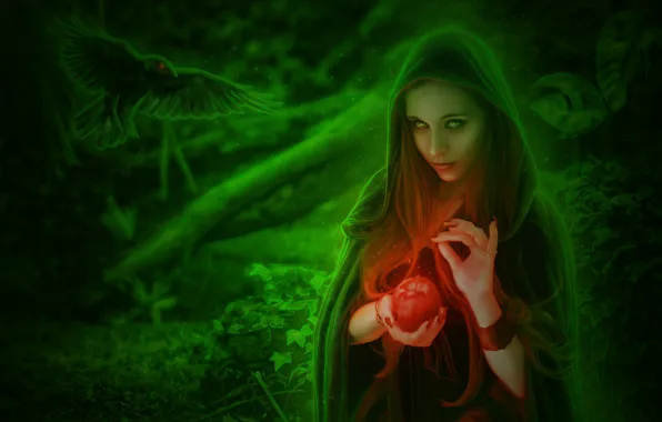 Picture forest, magic, witch, Raven, the witch, green haze, Fantasy art, a sly look