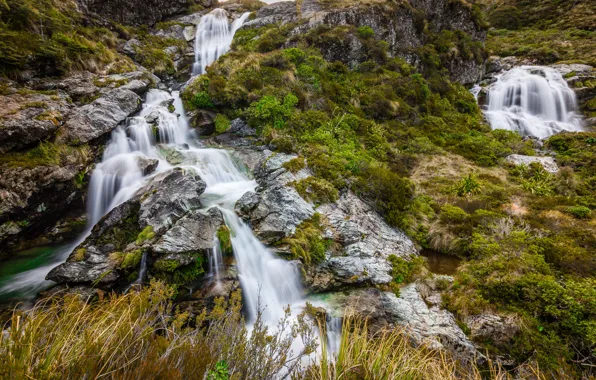 Grass, stones, waterfall, New Zealand, the bushes, Routeburn Falls