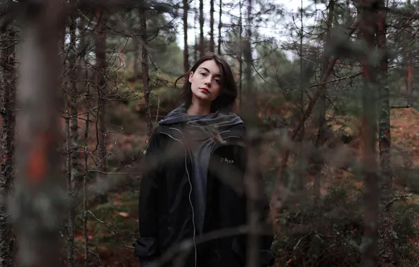 Sponge, in the woods, Aleks Five