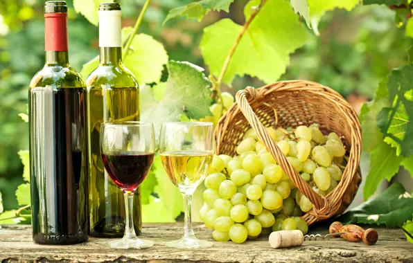 Leaves, branches, wine, red, white, basket, glasses, grapes