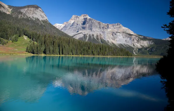 Picture forest, the sky, mountains, lake, Canada, Yoho national Park