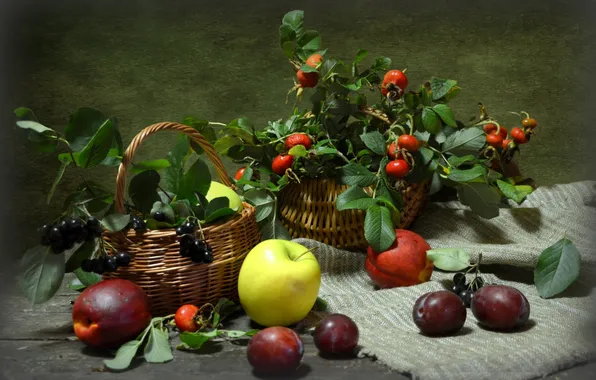Apples, briar, still life, plum, Aronia