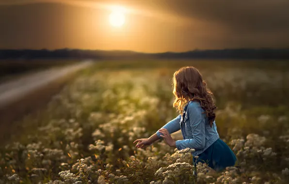 Road, field, girl, the sun, flowers