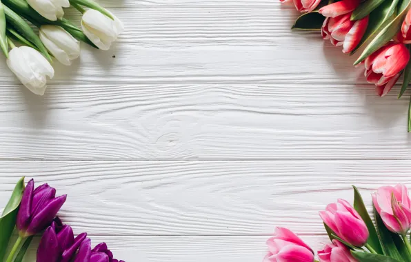 Flowers, bouquet, colorful, tulips, pink, white, white, fresh