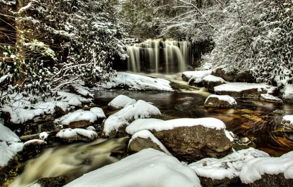 Winter, forest, snow, trees, river, stones, waterfall, West Virginia