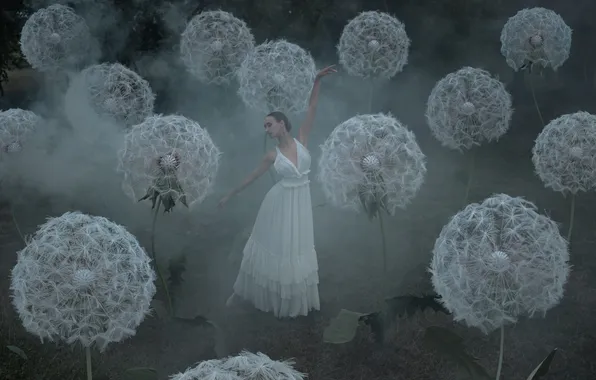 Girl, flowers, nature, pose, fog, style, glade, dance
