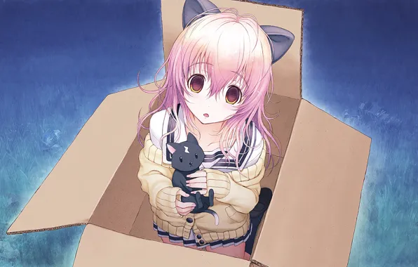 Girl, box, cat, neko, ears, Kimi to Kanojo to Kanojo no Koi, Mukou Aoi