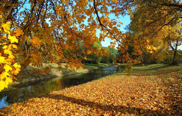Autumn, leaves, trees, branches, Park, river, foliage, Czech Republic