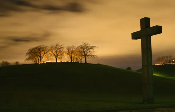 Picture trees, night, cross