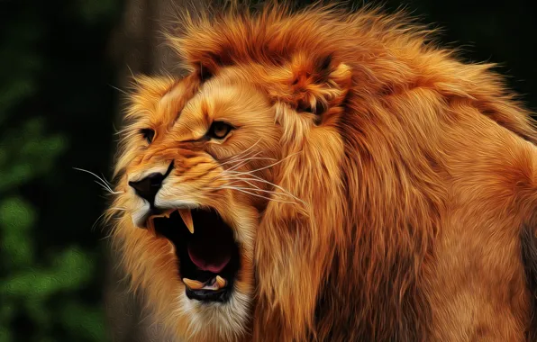 Picture face, Leo, mane, fangs, pasta