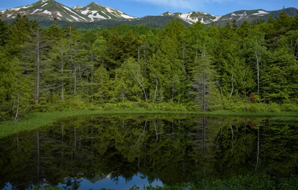 Nature, Reflection, Mountains, Lake, Forest, Shore, Landscape