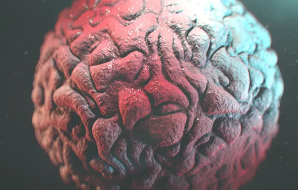 Rendering, brain, Cinema4D