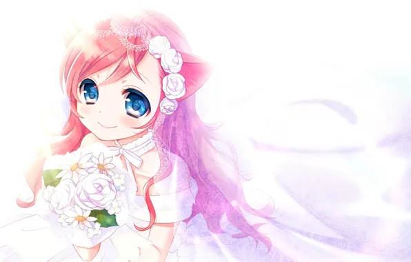 Flowers, Chamomile, Girl, Kitty, The bride, Neko, sieste cat