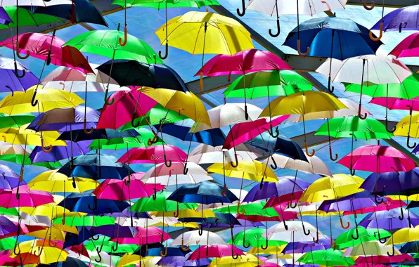 Bright, umbrella, colorful
