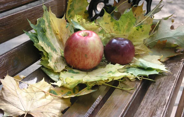 Autumn, leaves, apples, food