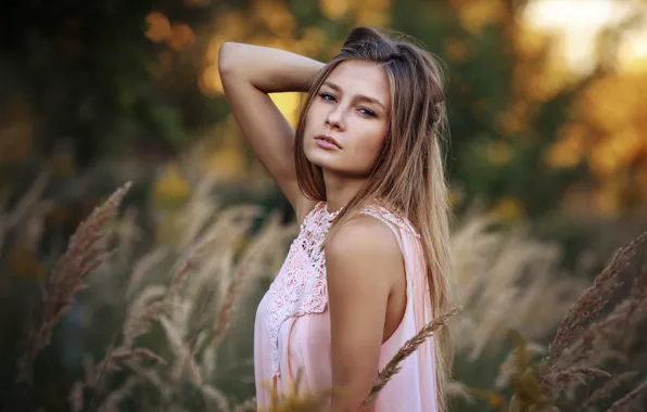 Wallpaper field, grass, look, girl, nature, face, sweetheart, portrait ...