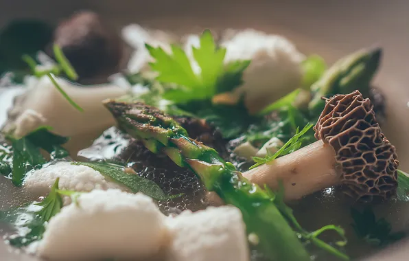 Mushrooms, food, cheese, asparagus, morels, AI art, neural network