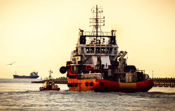 Sea, Port, The ship, Pilot, Offshore, Offshore Supply Ship, Supply Ship, OPAL