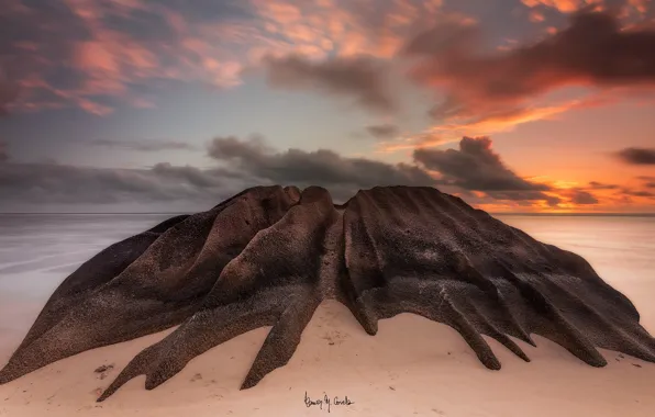 Sea, beach, nature, stones, the ocean