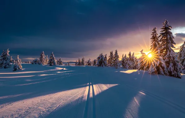 Picture winter, road, the sun, rays, snow, trees, landscape, nature