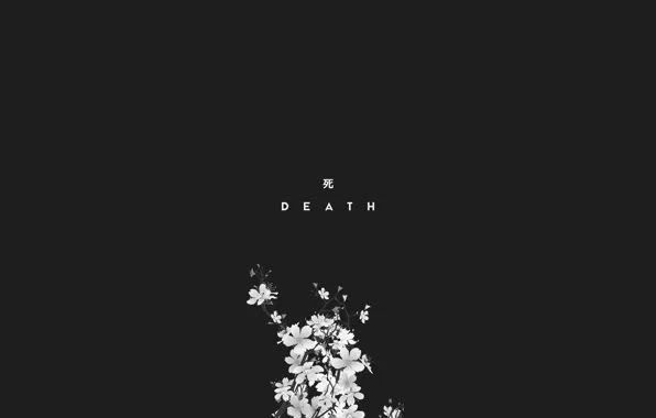 Wallpaper death, death, dead for mobile and desktop, section минимализм ...