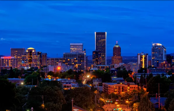 Night, the city, lights, street, home, USA, Portland