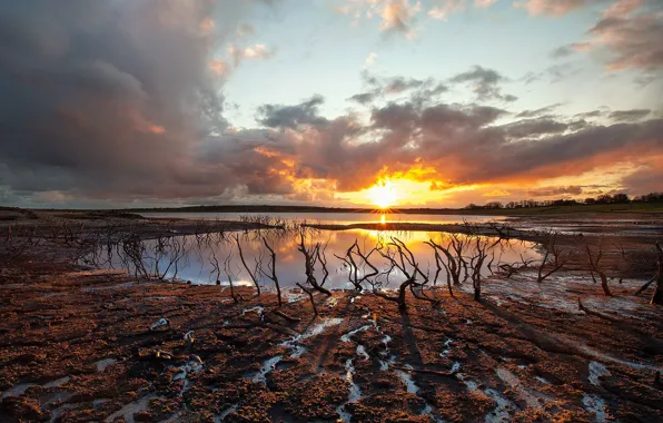 The sky, the sun, clouds, rays, trees, sunset, branches, lake