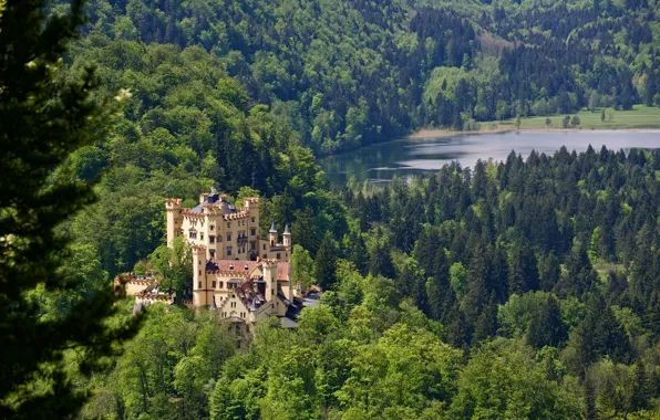 Forest, lake, castle, Germany, Bayern, Germany, Bavaria, Castle Hohenschwangau