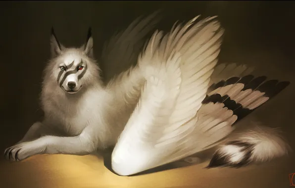 Background, wolf, wings, dog, tail, beast, fabulous animal