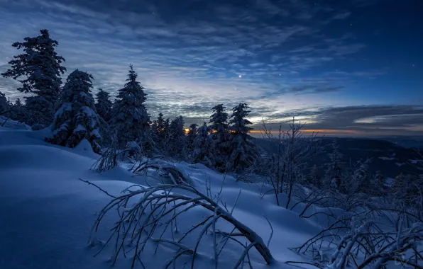 Picture winter, the sky, snow, trees, landscape, mountains, branches, nature