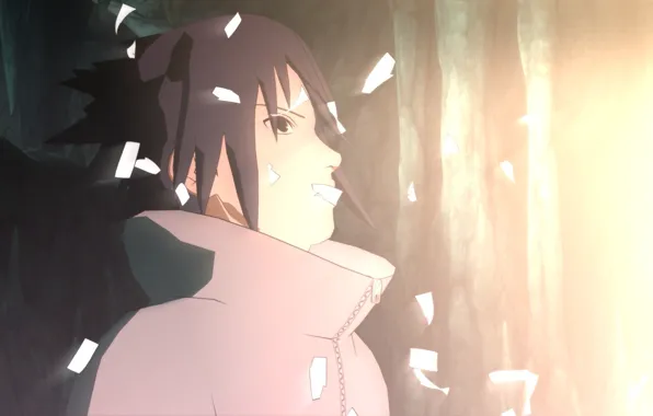 Look, surprise, anime, ninja, Uchiha Sasuke, Naruto Shippuden, the reunion of the Uchiha brothers., divine …