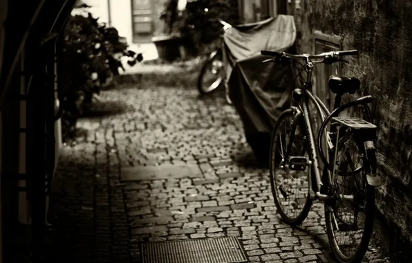 Bike, background, widescreen, Wallpaper, mood, wheel, wallpaper, bicycle