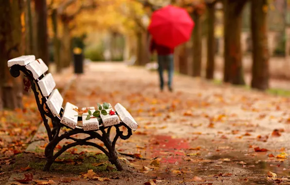 Autumn, flower, Park, rose, people, umbrella, bench, goodbye