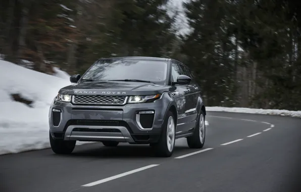 Road, car, machine, Land Rover, Range Rover, road, the front, Evoque