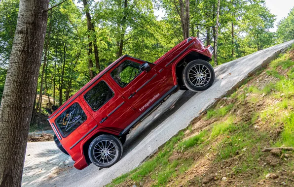 Picture red, Mercedes-Benz, slope, SUV, 4x4, G-Class, 2019