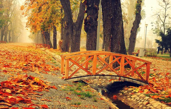 Park, foliage, Autumn, the bridge, bridge, park, autumn, leaves