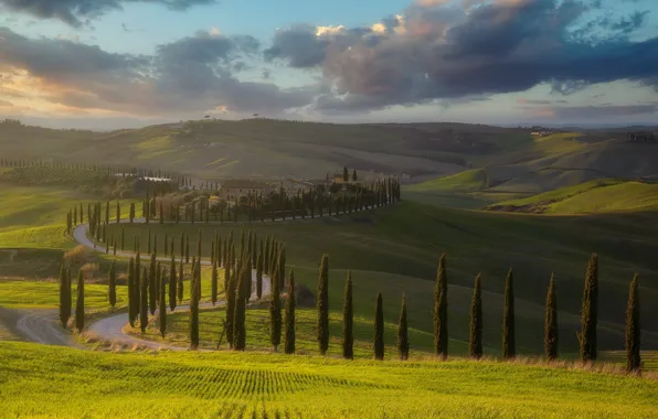 Fog, hills, field, Italy, houses, meadows, cypress, Tuscany