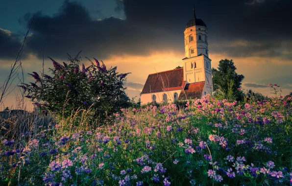 Picture summer, light, sunset, flowers, clouds, glade, meadow, Church