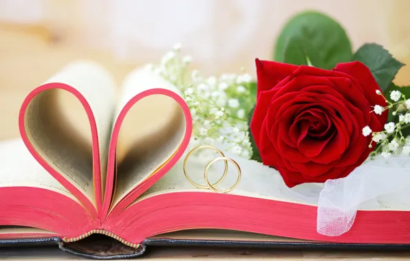 Rose, book, gold, wedding, flowers, engagement rings, wedding rings