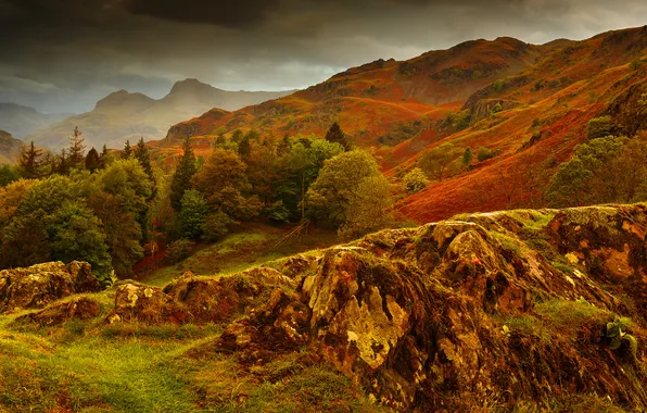 Autumn, grass, mountains, stones, slope