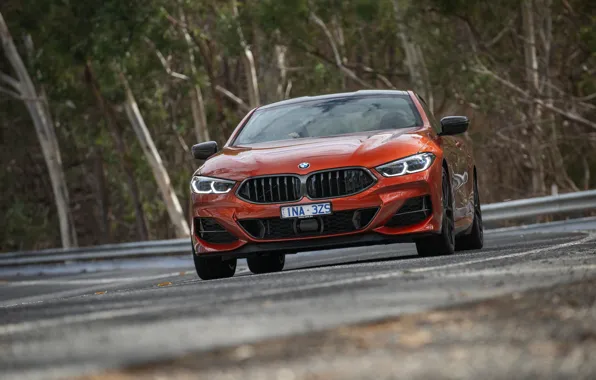 Picture coupe, BMW, 2018, on the road, 8-Series, 2019, dark orange, M850i xDrive