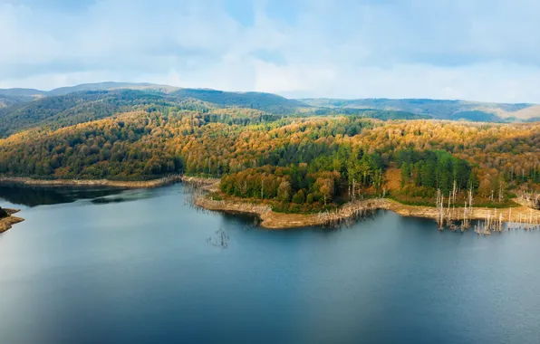 Trees, Italy, nature, lake, Sila, Calabria