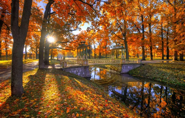 Picture autumn, the sun, trees, bridge, Park, foliage, channel, Gordeev Edward