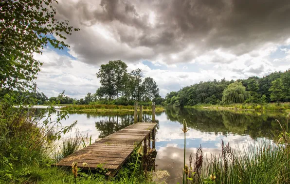 Picture the sky, grass, clouds, trees, landscape, nature, lake, plant