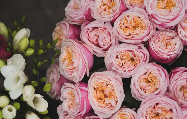 Flowers, the dark background, roses, bouquet, pink, white, lush