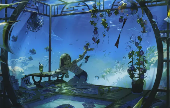 Fish, bubbles, room, shorts, aquarium, plants, shark, fan