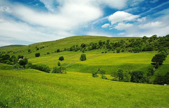 Summer, the sky, grass, plain, valley, space