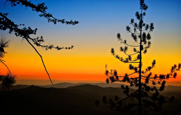 The sky, sunset, mountains, tree, silhouette