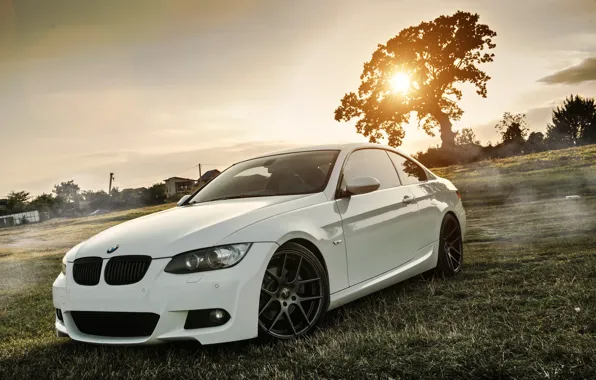Field, Grass, BMW, Tuning, White, BMW, Drives, Coupe